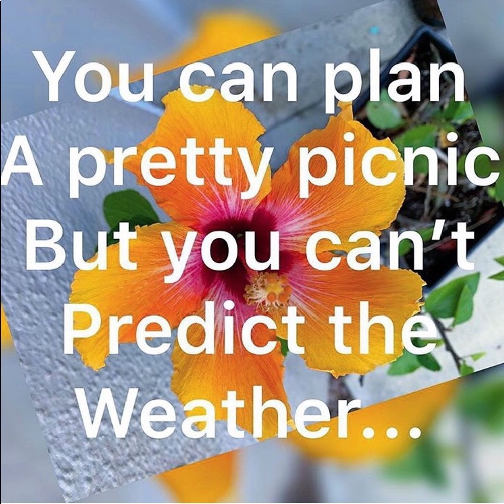 Meet your Posher, Travis